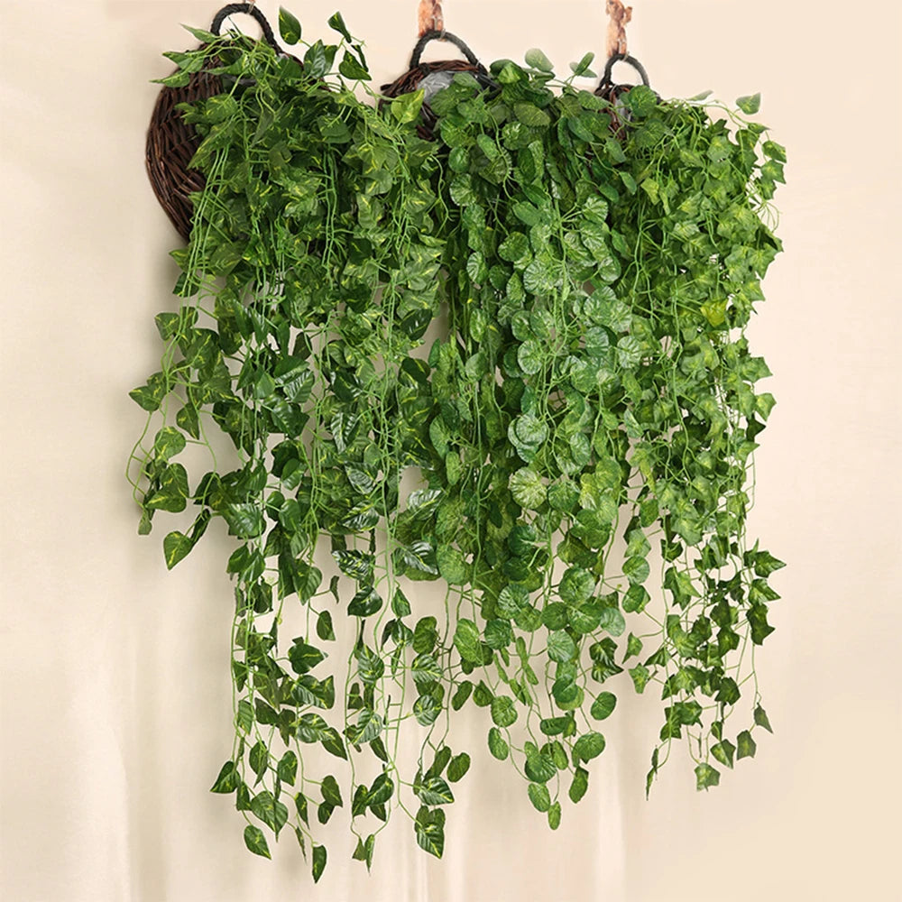 Botanical Wall Hangings