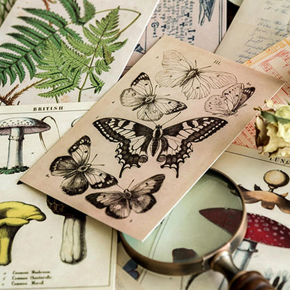 Vintage Botanical Collage Set