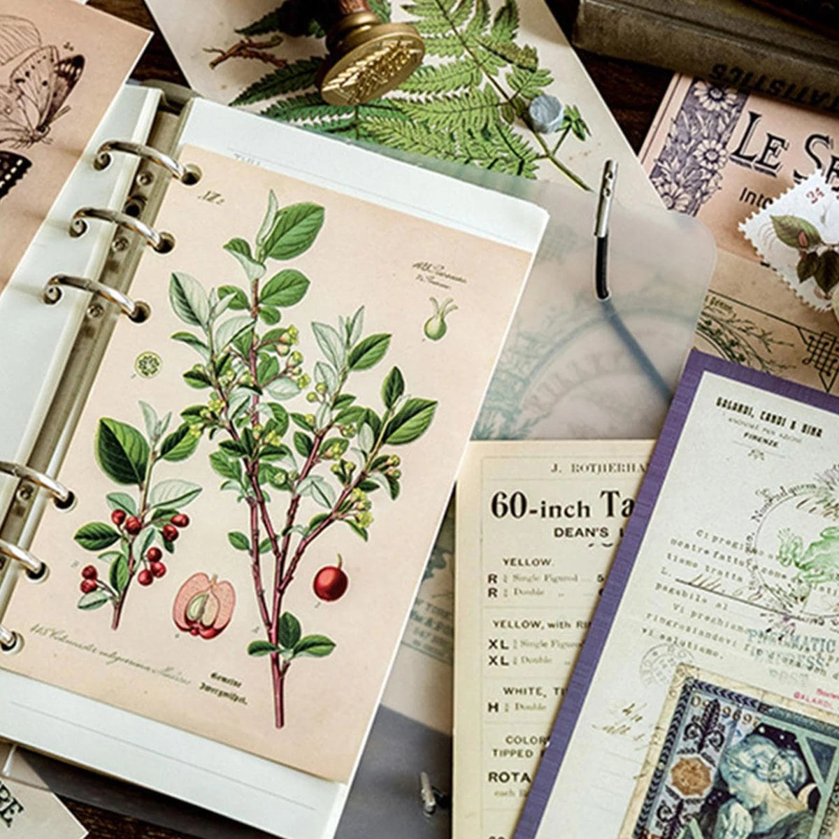 Vintage Botanical Collage Set