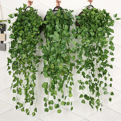 Botanical Wall Hangings