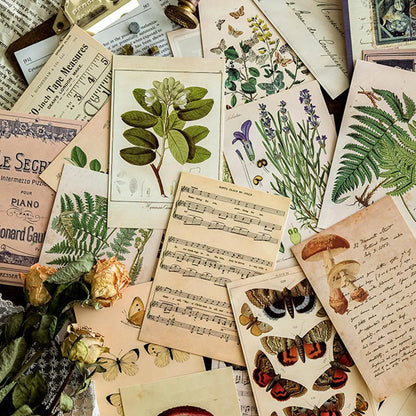 Vintage Botanical Collage Set