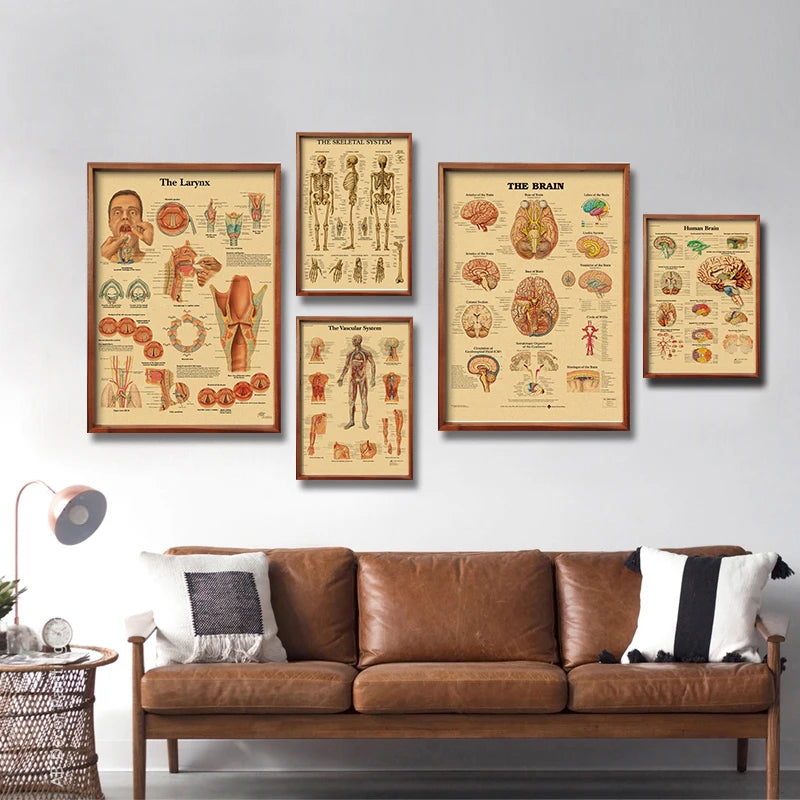 Skeleton Anatomy Poster